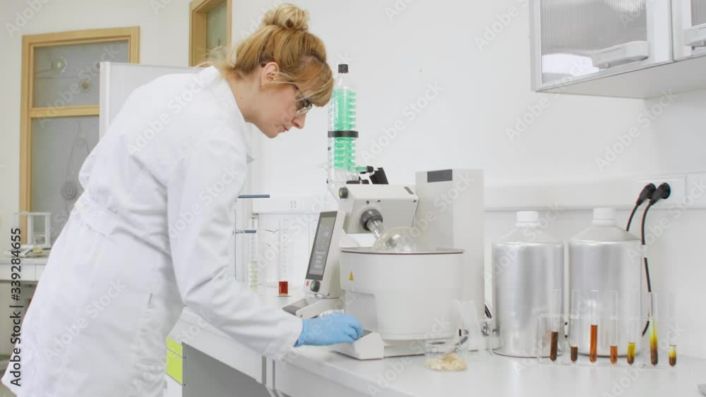 Chemist extracting cbd with rotavapor in laboratory Chemist extracting cbd with rotavapor in laboratory