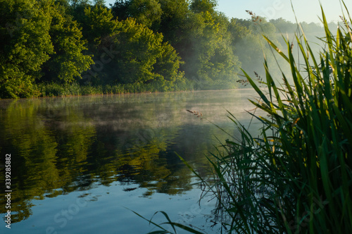 Fog disperses over beautiful river in early summer.