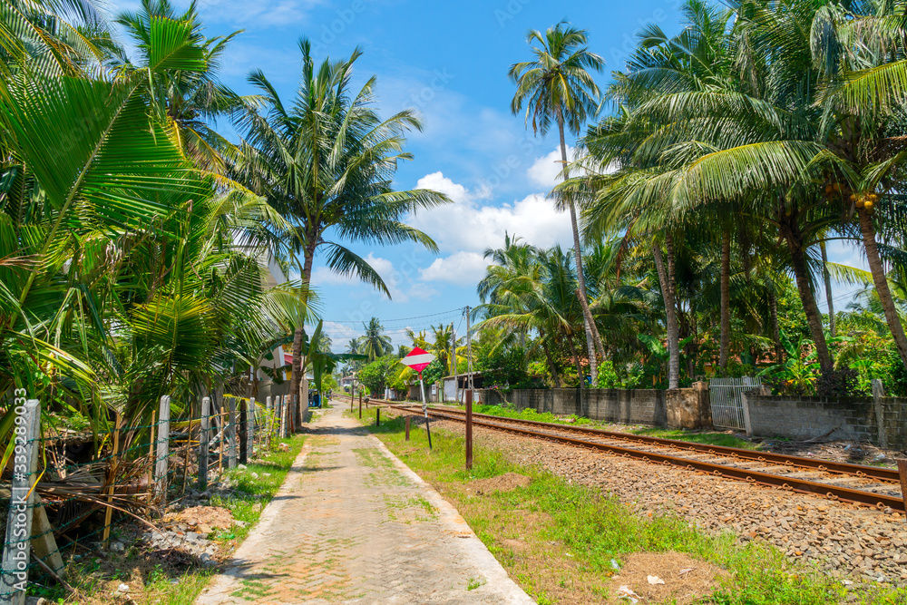 Hikkaduwa, Sri Lanka. March 1, 2018. Railroad among tropical vegetation.