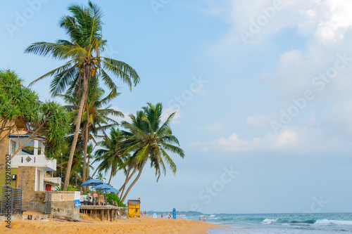 Hikkaduwa  Sri Lanka. March 1  2018.  Beautiful coconut tree on background of blue tropical sky. Ocean waves on the beach.