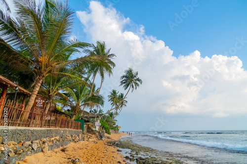 Hikkaduwa, Sri Lanka. March 1, 2018. Beautiful coconut tree on background of blue tropical sky. Ocean waves on the beach.