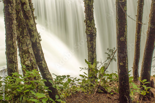 Fototapeta Naklejka Na Ścianę i Meble -  Lower Lewis River Falls
