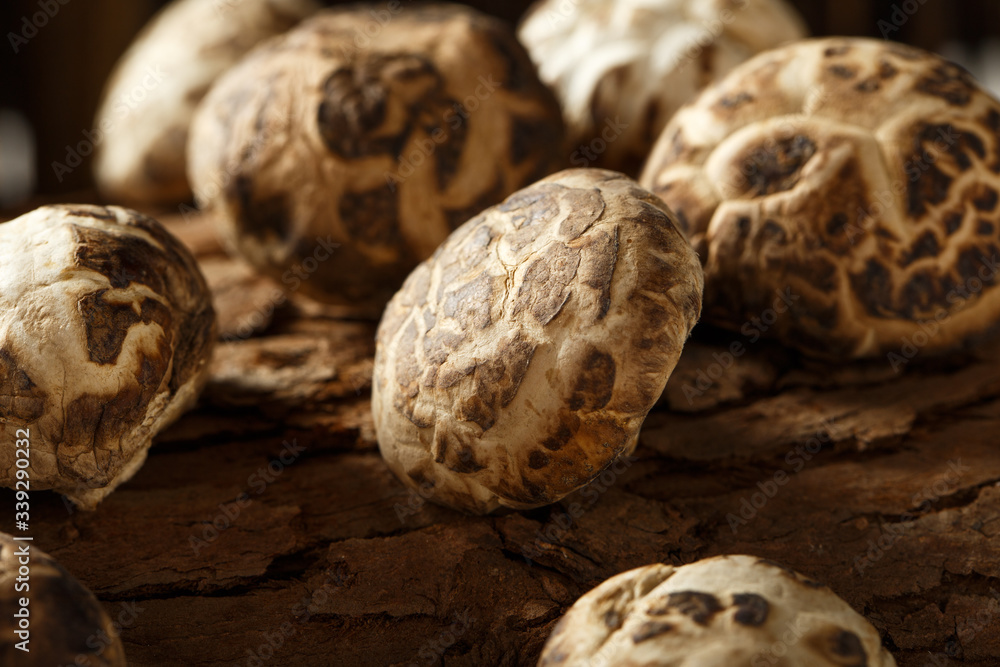 Dried mushrooms Dried mushrooms