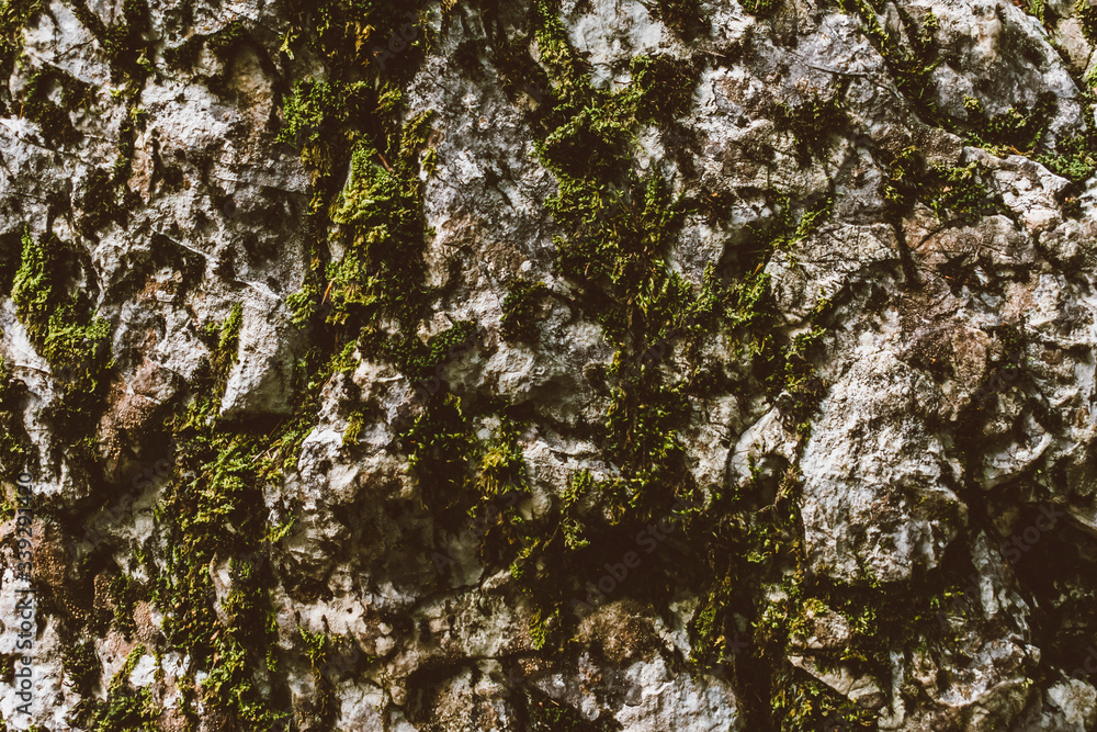 Obraz premium Felsstruktur. Pattern im Detail.