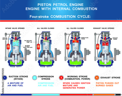 Piston petrol engine, structural cross section in basic design for education