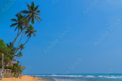 Palm trees on the shore of the Indian Ocean on the beach in Hikkaduwa, Sri Lanka. © sandipruel