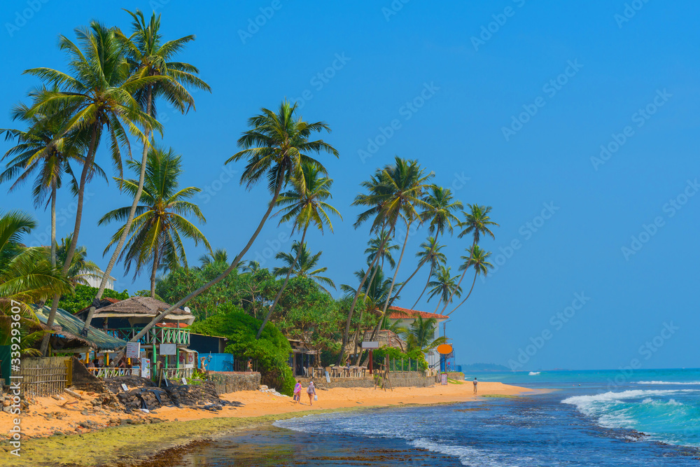 Palm trees on the shore of the Indian Ocean on the beach in Hikkaduwa, Sri Lanka. Palm trees on the shore of the Indian Ocean on the beach in Hikkaduwa, Sri Lanka.