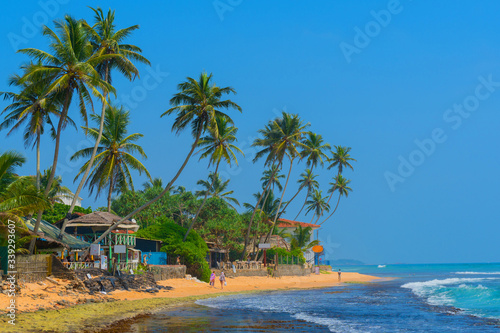 Fototapeta Naklejka Na Ścianę i Meble -  Palm trees on the shore of the Indian Ocean on the beach in Hikkaduwa, Sri Lanka.