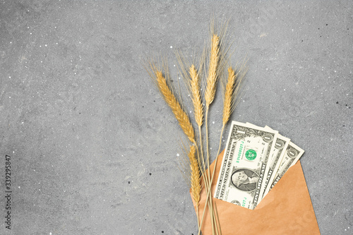 Economic crisis. Three dollars in an envelope and ears of wheat on a gray background. Concept of the global financial and food crisis. Lack of money for food photo
