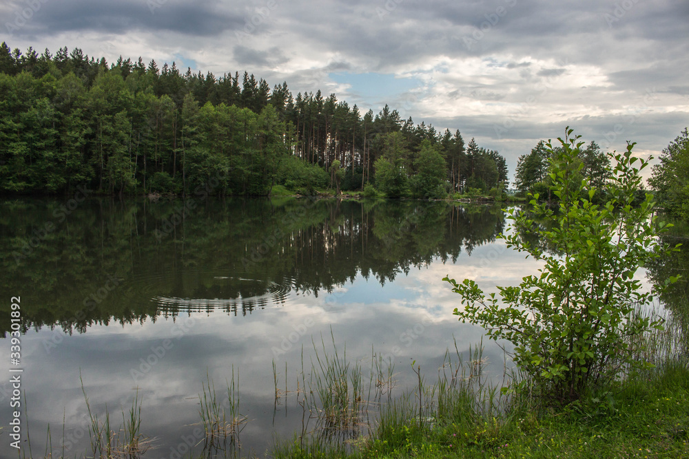lake in the forest lake in the forest