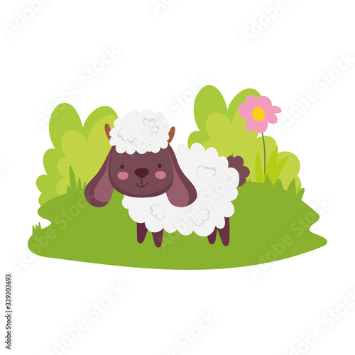 sheep flower grass farm animal cartoon isolated icon on white background
