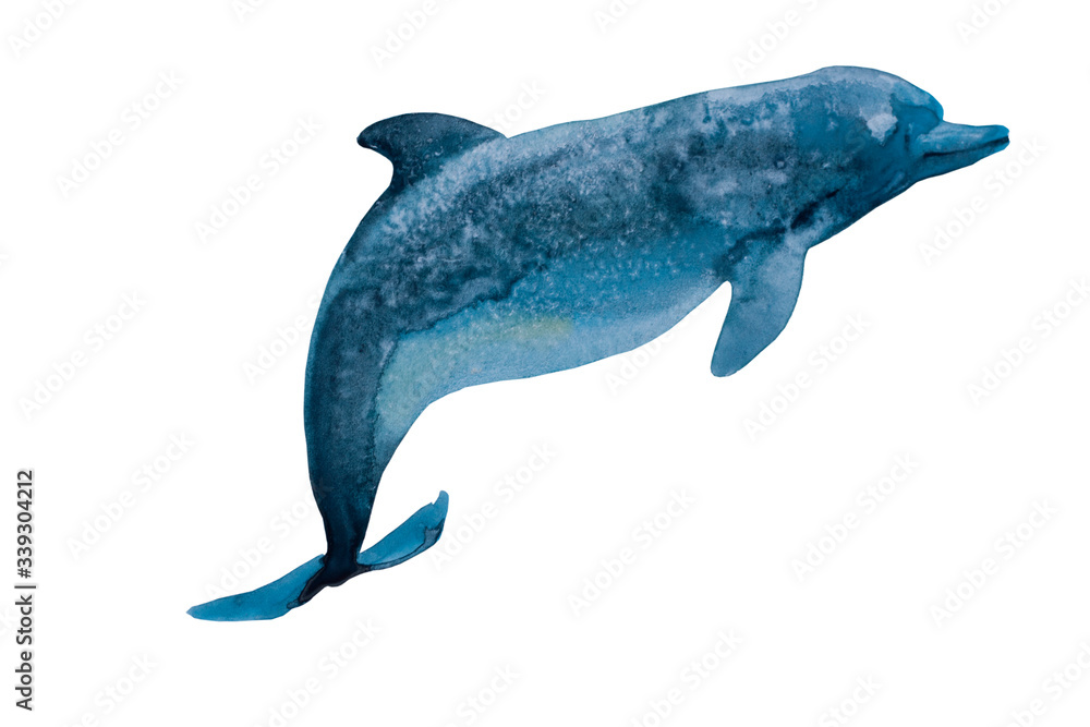 Fototapeta premium Watercolor deep blue dolphin with spots salty texture. Original hand paint illustration of sea animal, isolated on white background