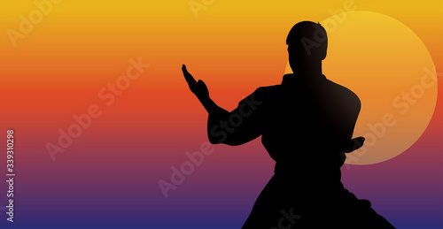 silhouette of a kata karate athlete vector