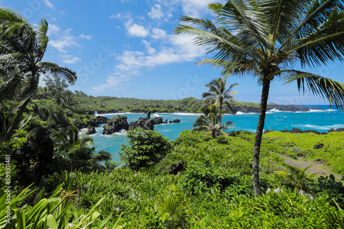 Landscape view from State Park near Black Sand beach in Maui Hawaii with Lush Green Tropical Foliage, Turquoise Ocean and Volcanic Rock