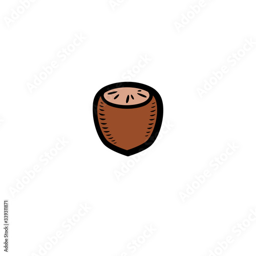 Hazelnut nuts set. Collection icon hazelnut nuts. Vector 