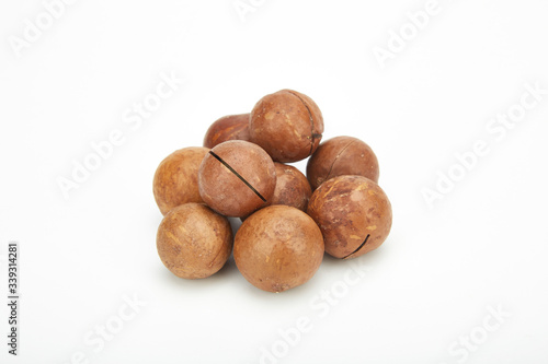 Wallpaper Mural Macadamia fruit Torontodigital.ca