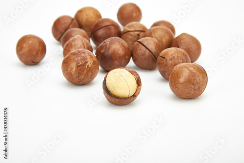 Wallpaper Mural Macadamia fruit Torontodigital.ca