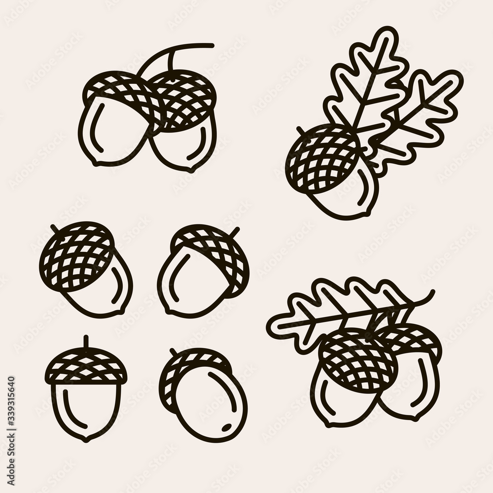 Acorns set. Collection icon acorns. Vector Acorns set. Collection icon acorns. Vector
