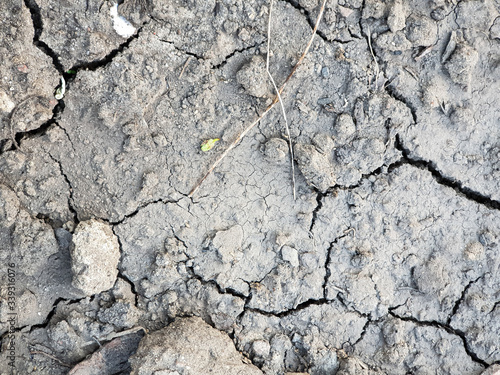 Gray dry cracked soil earth background texture from my garden
