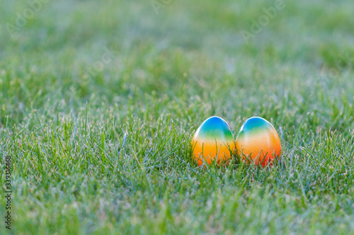 colorful easter eggs lying in the backyard grass. copyspace. isolated