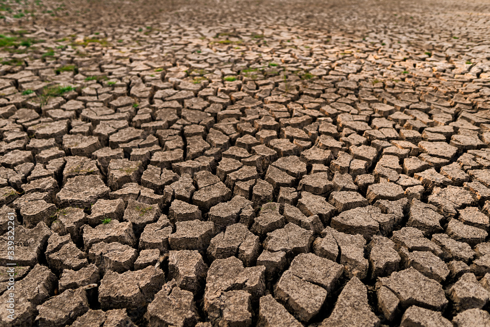 dry cracked ground. Global Warming concept. dry cracked ground. Global Warming concept.