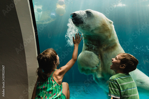 Murais de parede swimming polar bear in the zoo, with kids laughing and playing with the bear, re