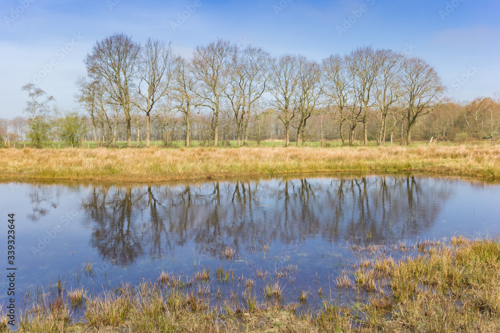 Little pond reflecting trees in the nature reserve Wildemerk, Netherlands Little pond reflecting trees in the nature reserve Wildemerk, Netherlands