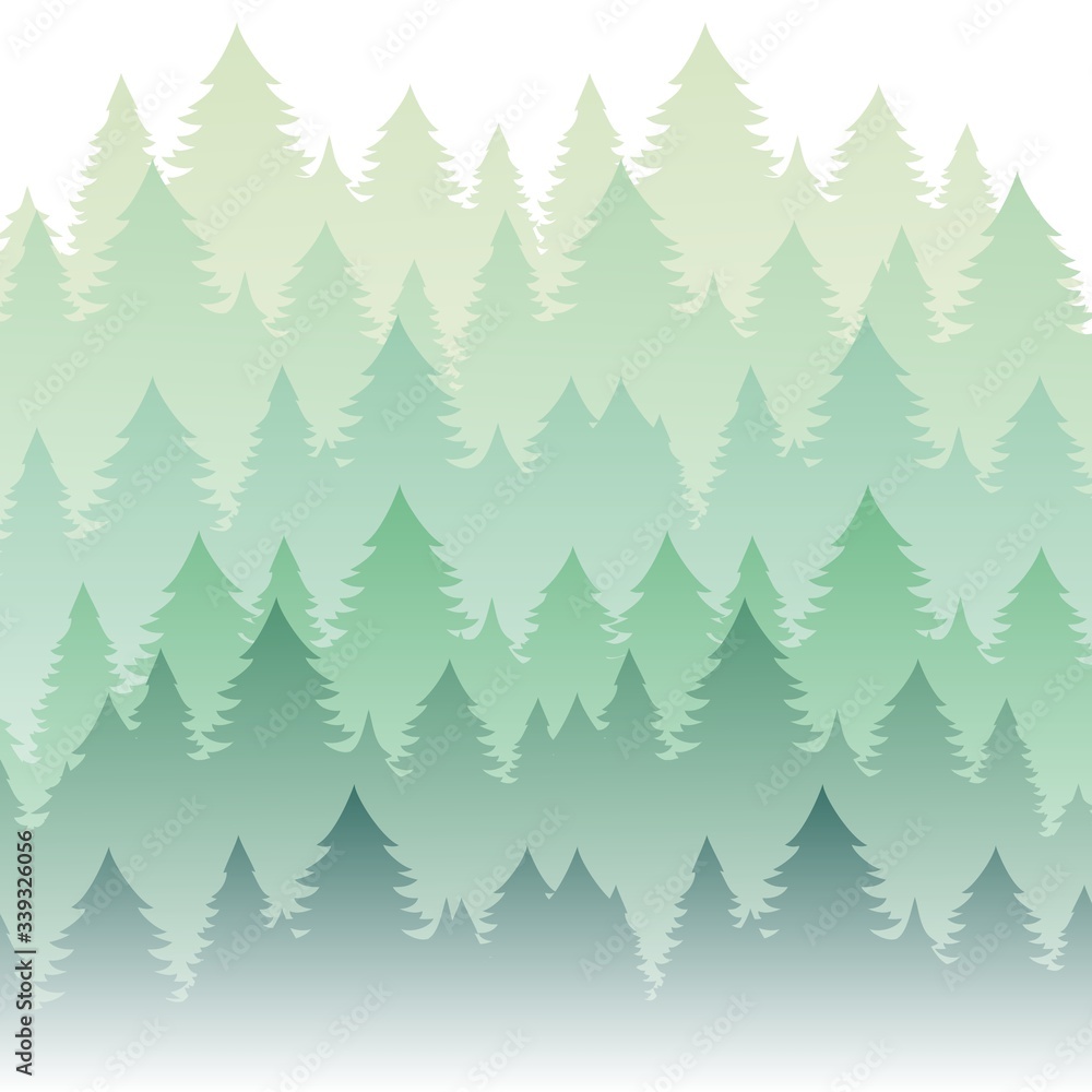 Background of fir trees