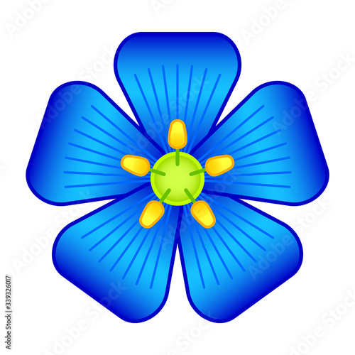 Flax flower illustration