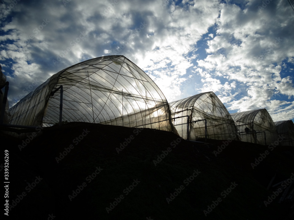 Fototapeta premium Greenhouses under a cloudy sky