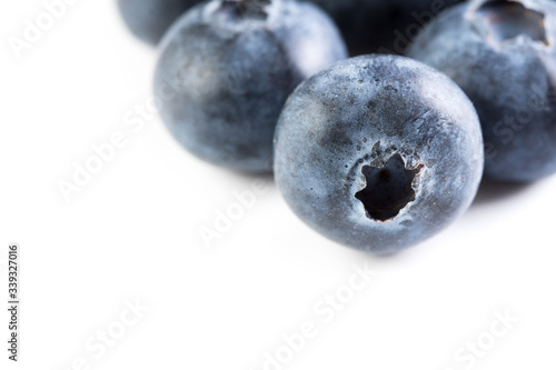 fresh large blueberry