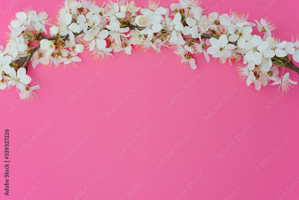 Spring border background with beautiful white flowering branches. Pastel pink background, bloom delicate flowers. Springtime concept. Flat lay top view copy space. Spring border background with beautiful white flowering branches. Pastel pink background, bloom delicate flowers. Springtime concept. Flat lay top view copy space.