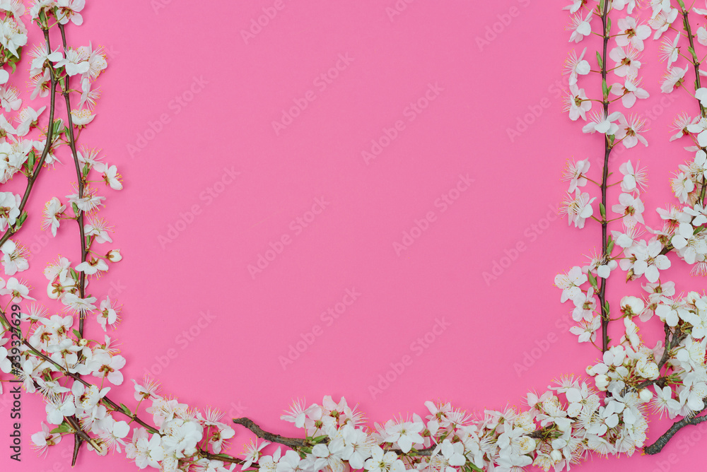 Beautiful gentle spring twigs with white flowers on a pink background top view flat lay with space for text. Greeting card with delicate flowers Pink floral background.