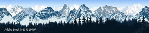 vector seamless mountains karakoram himalayan panorama background with forest photo