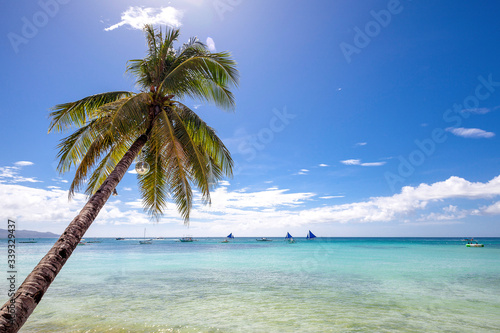 Fototapeta Naklejka Na Ścianę i Meble -  White Beach and Palm Tree, Boracay island,Philippines.