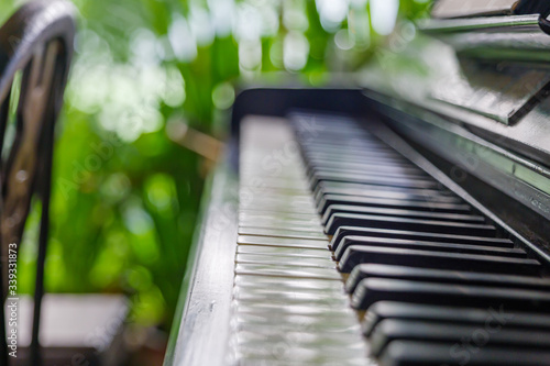 Close up view at the keys of an old retro and vintage piano with blur background of green natural outdoor plant. photo