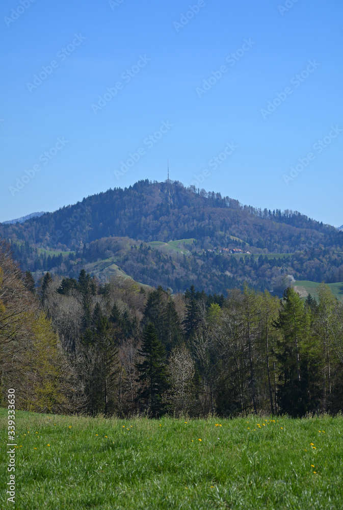 Obraz premium Blick auf das Hörnli (1132m) von der Obersedelegg aus