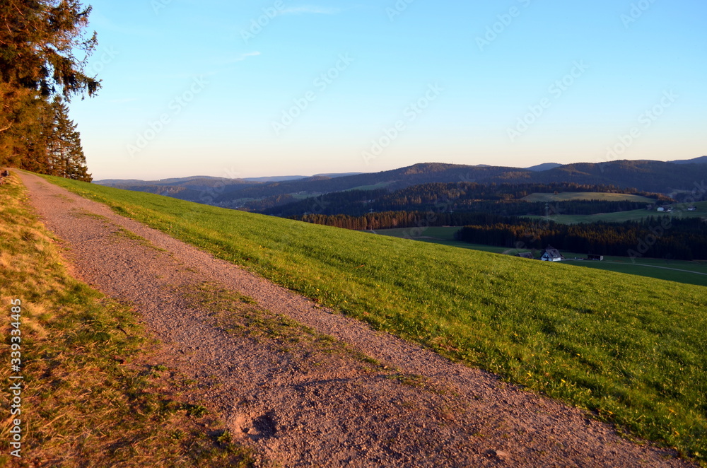 Fototapeta premium Wanderweg in Breitnau im Schwarzwald