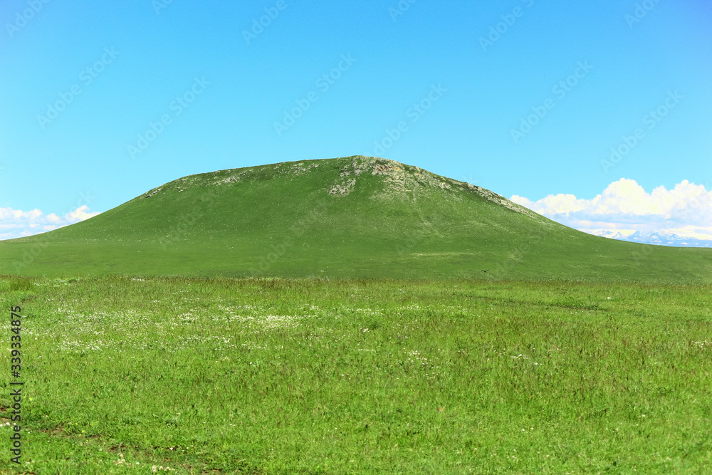 Fototapeta premium A lush hill and a blue sky. Background picture.