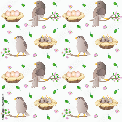 Birds on branches - spring seamless vector pattern. Seamless pattern with birds, nests with eggs and chicks on flowering spring branches. Little birds - sparrows nest and raise chicks.