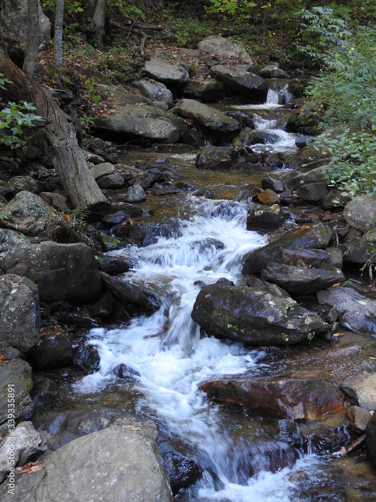 Fototapeta premium Mountain Creek