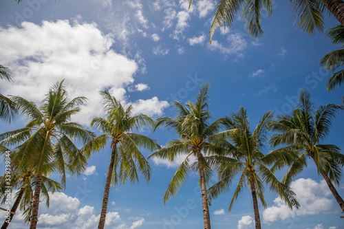 Fototapeta Naklejka Na Ścianę i Meble -  White Beach and Palm Tree, Boracay island, Philippines.