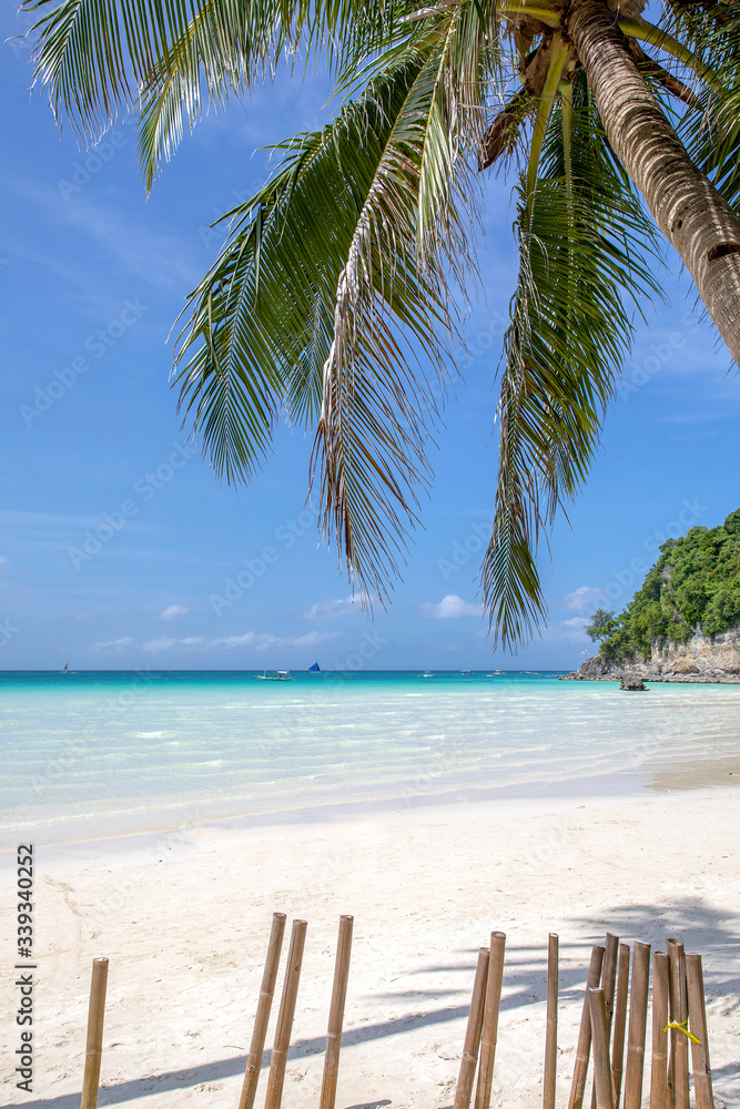 Obraz premium White Beach and Palm Tree, Boracay island, Philippines.