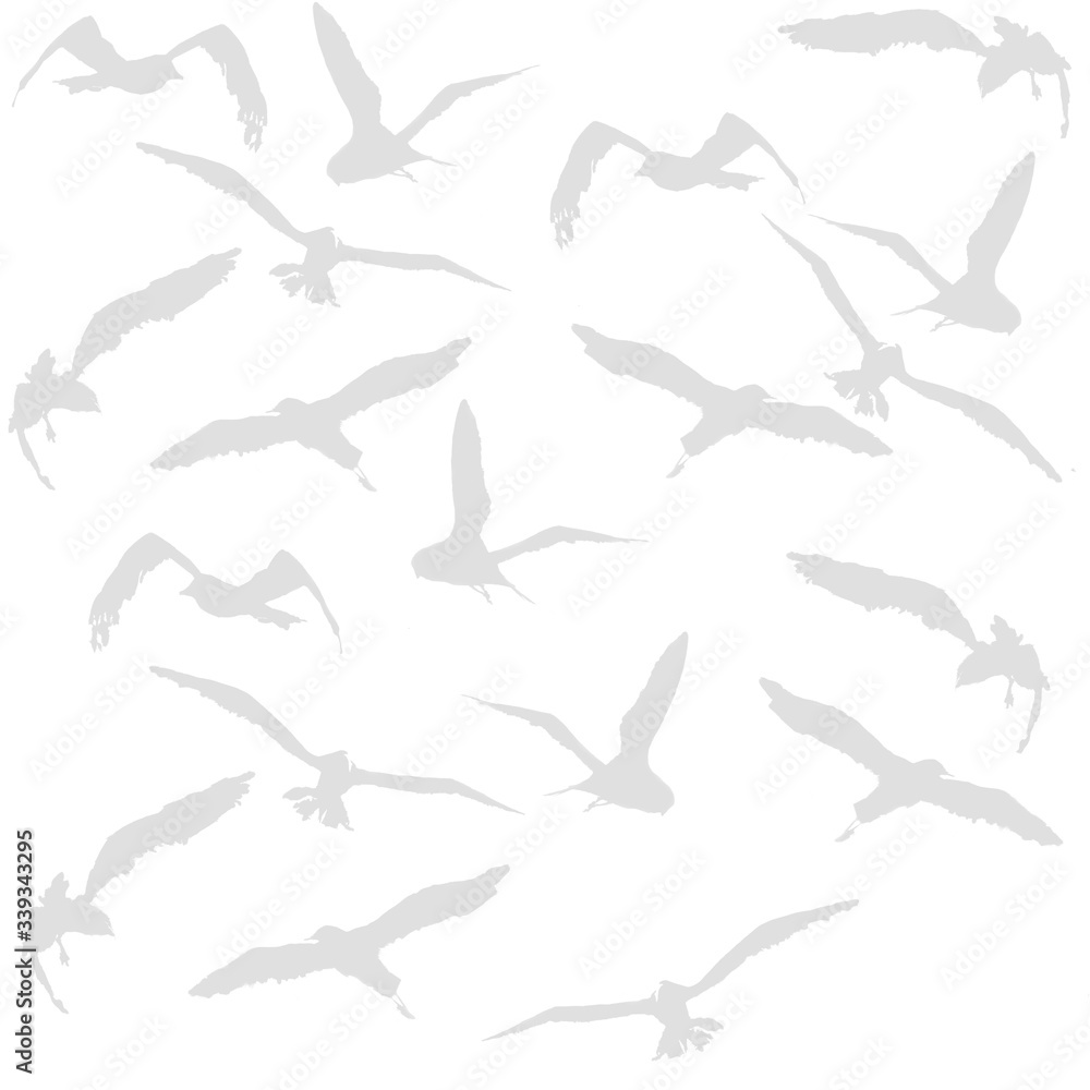 Obraz premium Zestaw ilustracji ptaków