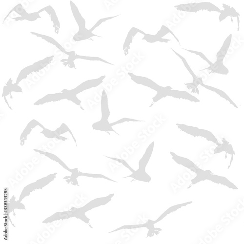 Set of birds illustration © Akvarella