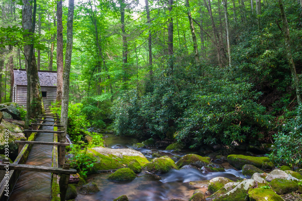 Obraz premium The Reagan Tub Mill On The Roaring Fork, Great Smoky Mountains National Park, Tennessee, USA