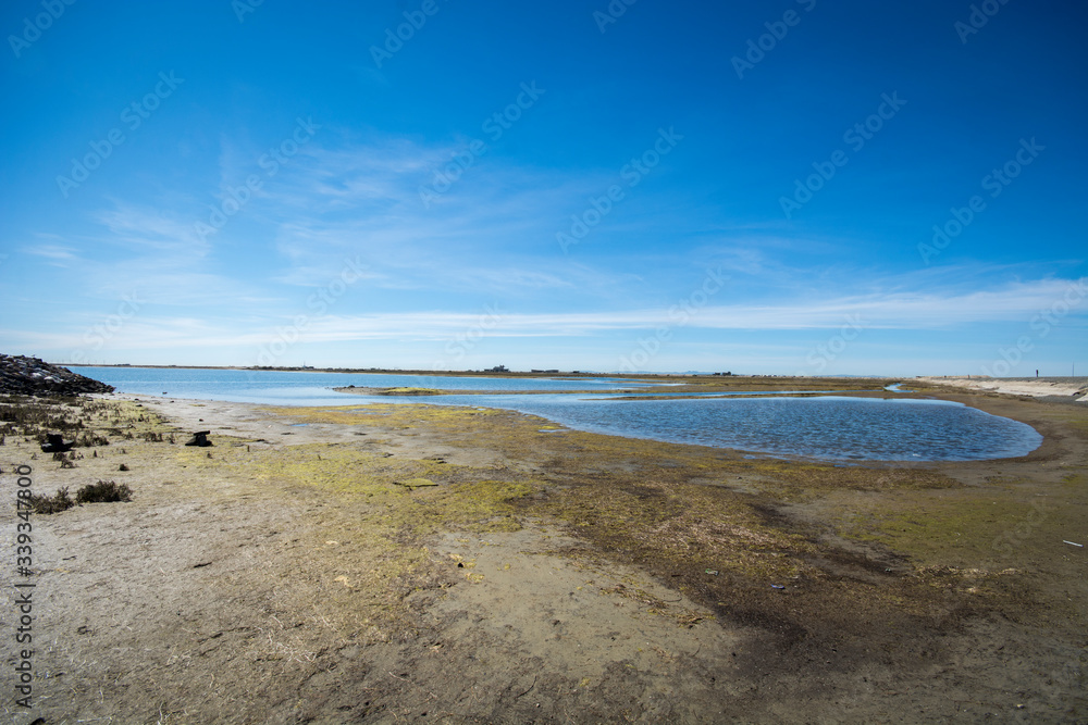 Bolsa Bay State Marine Conservation Area Southern California