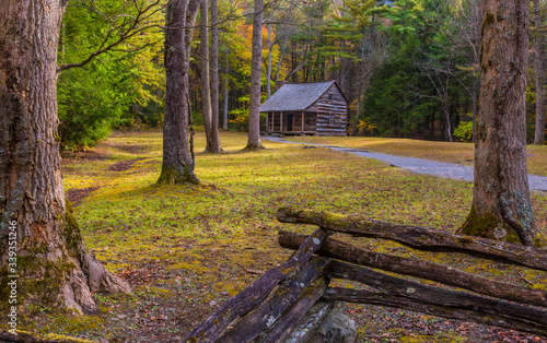 Slika na platnu The Carter Shields Log Cabin in Cades Cove, Smoky Mountains National Park, Tenne
