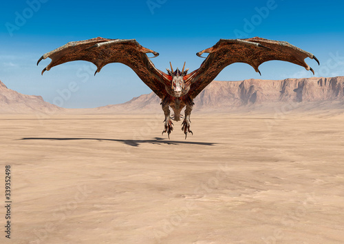 dragon is taking off on desert