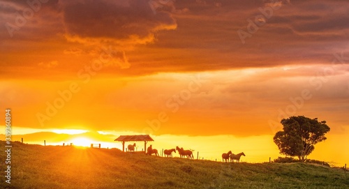 Perfect Sunset, Amazing Sunset in the Countryside, Ceautiful Scenery
